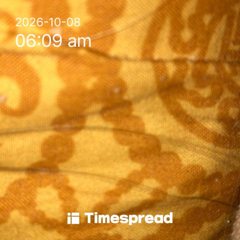board-img