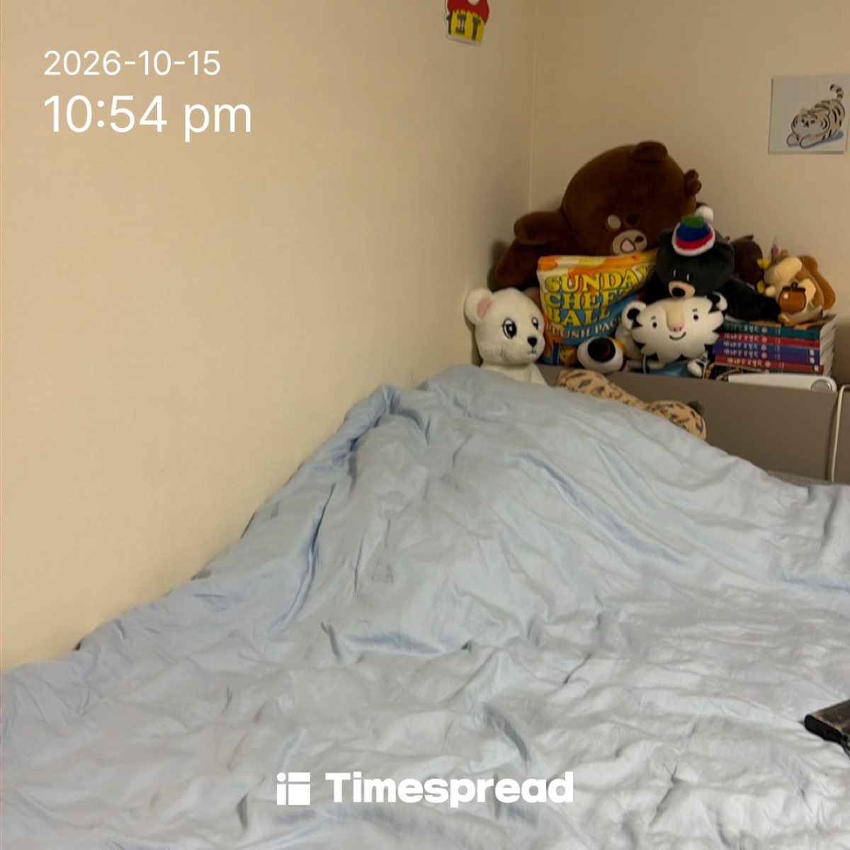 board-img