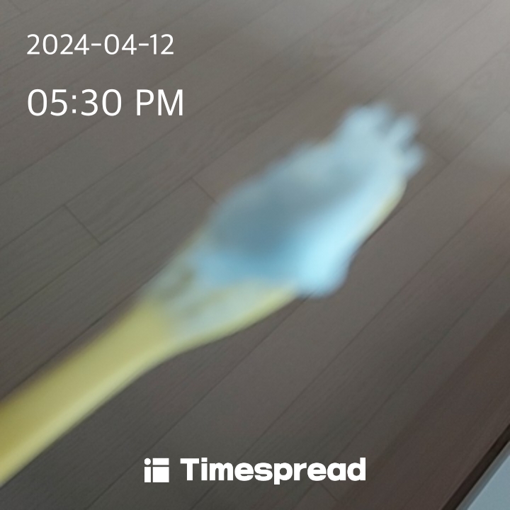 하루한번 양치하기