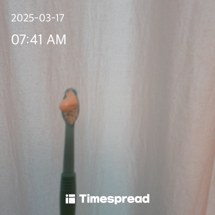 양치하기 챌린지 😶‍🌫️