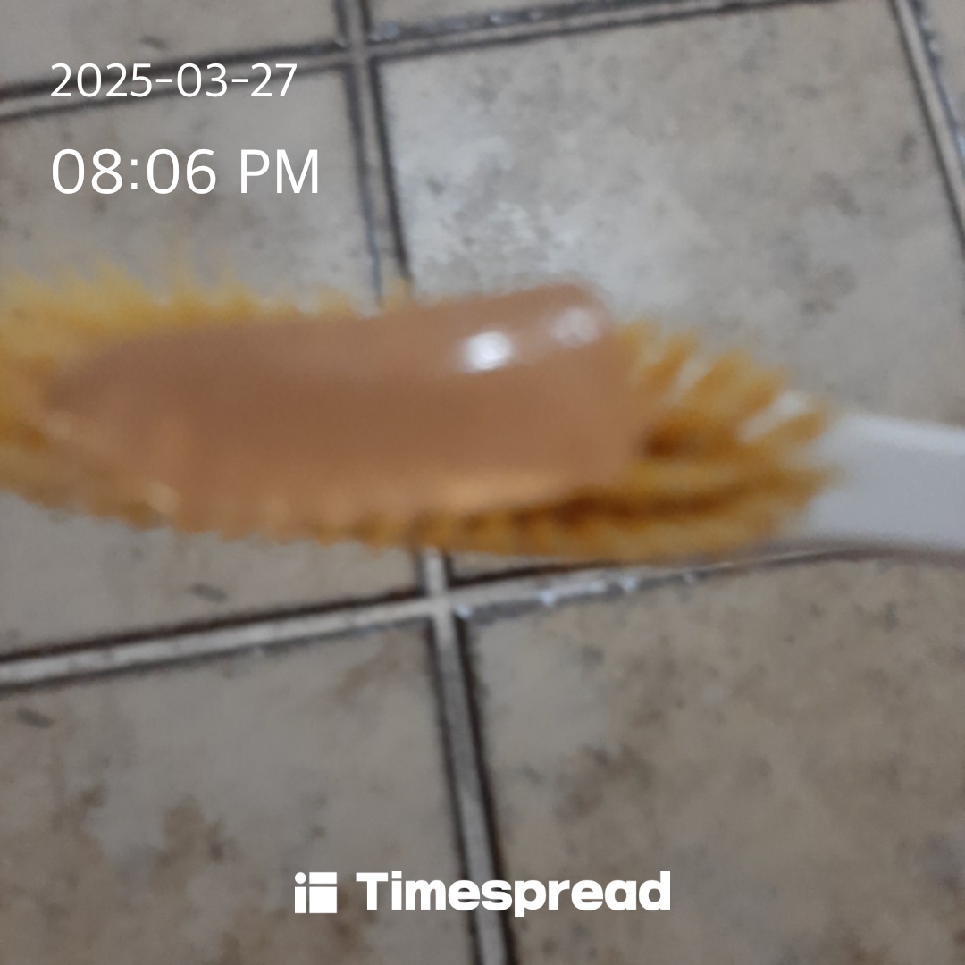 양치