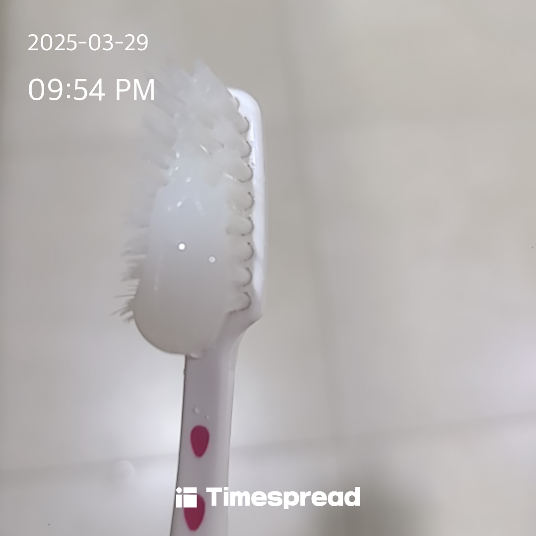 인증