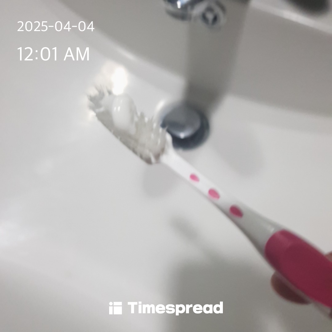 4일 