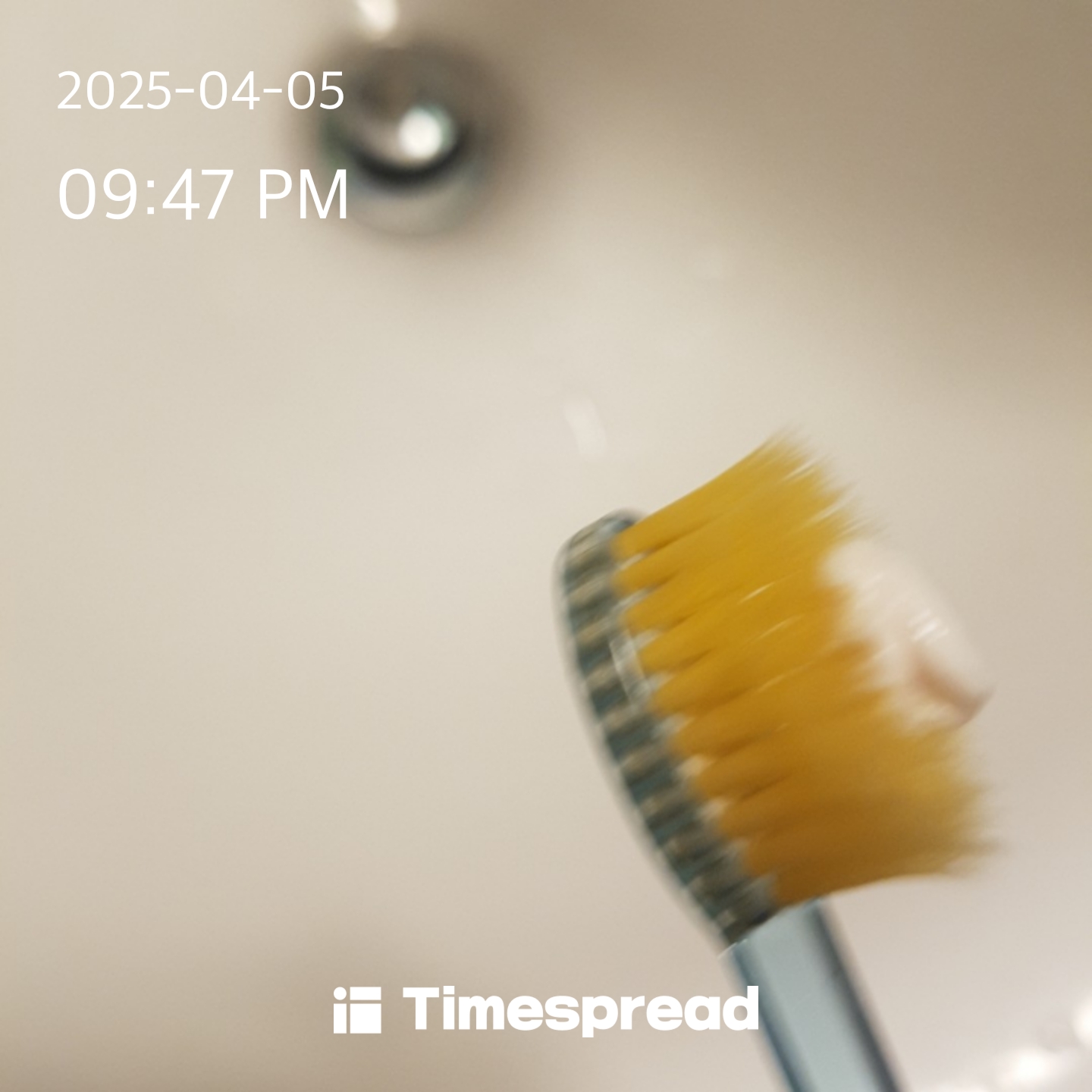 양치