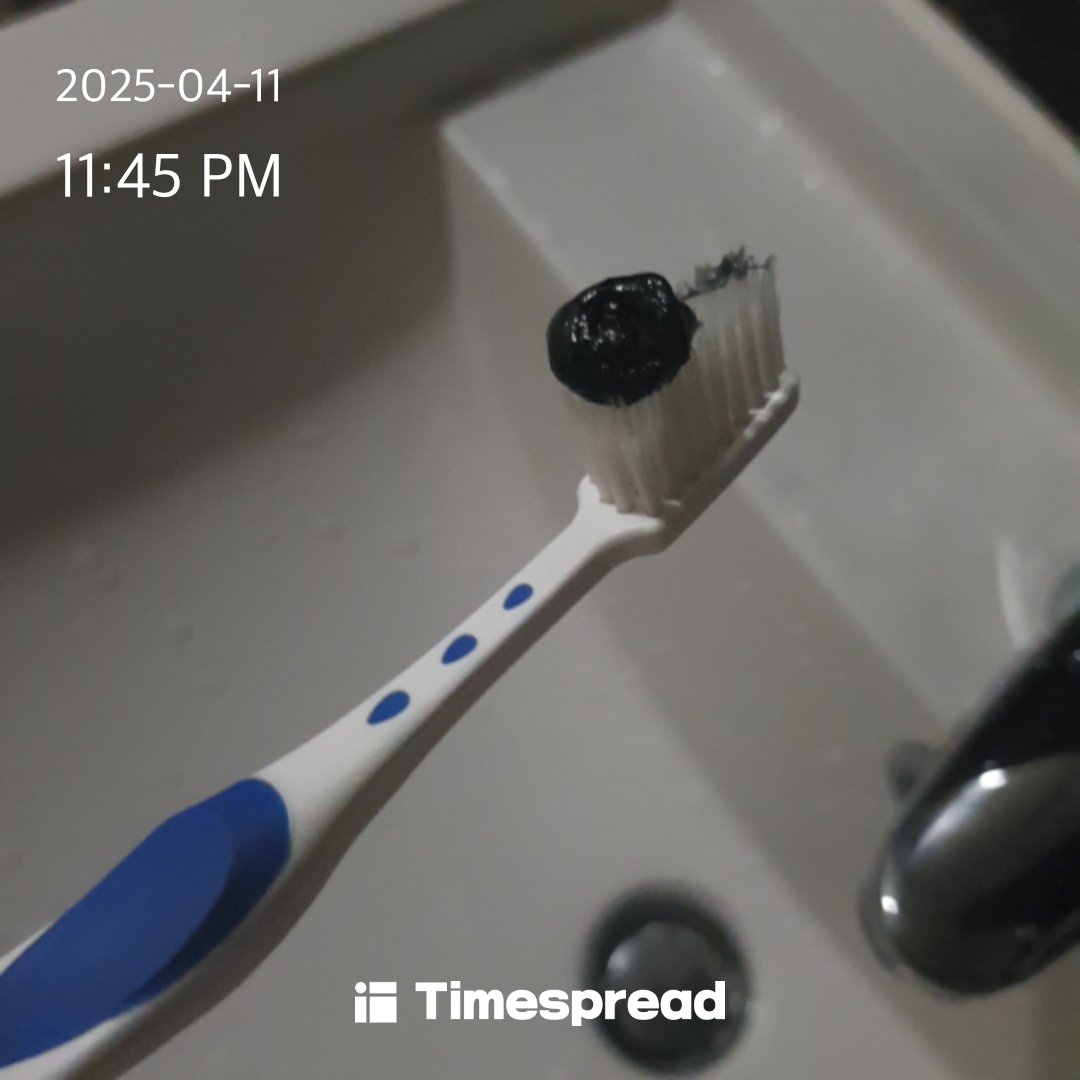 11일 