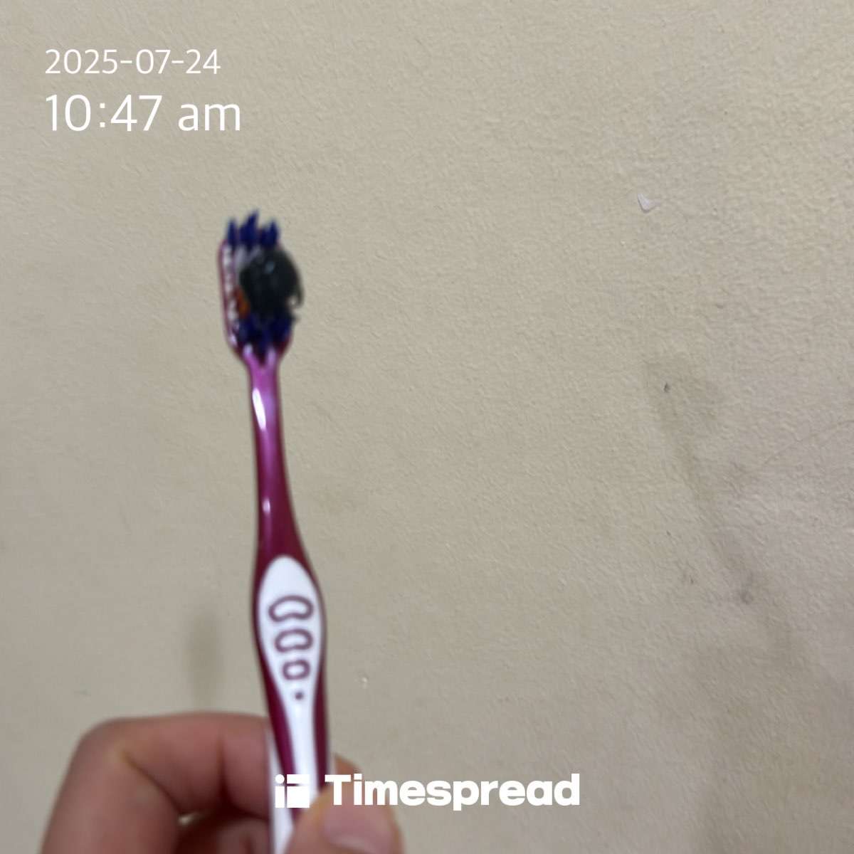 board-img