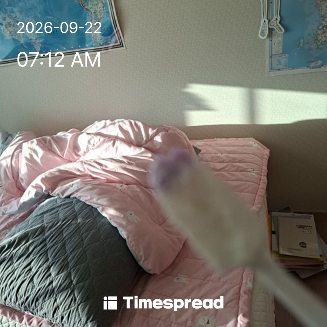 board-img