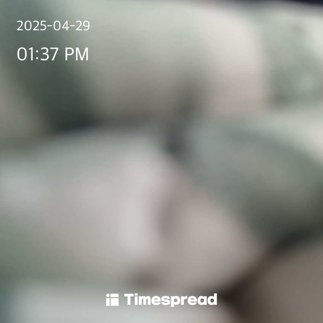호