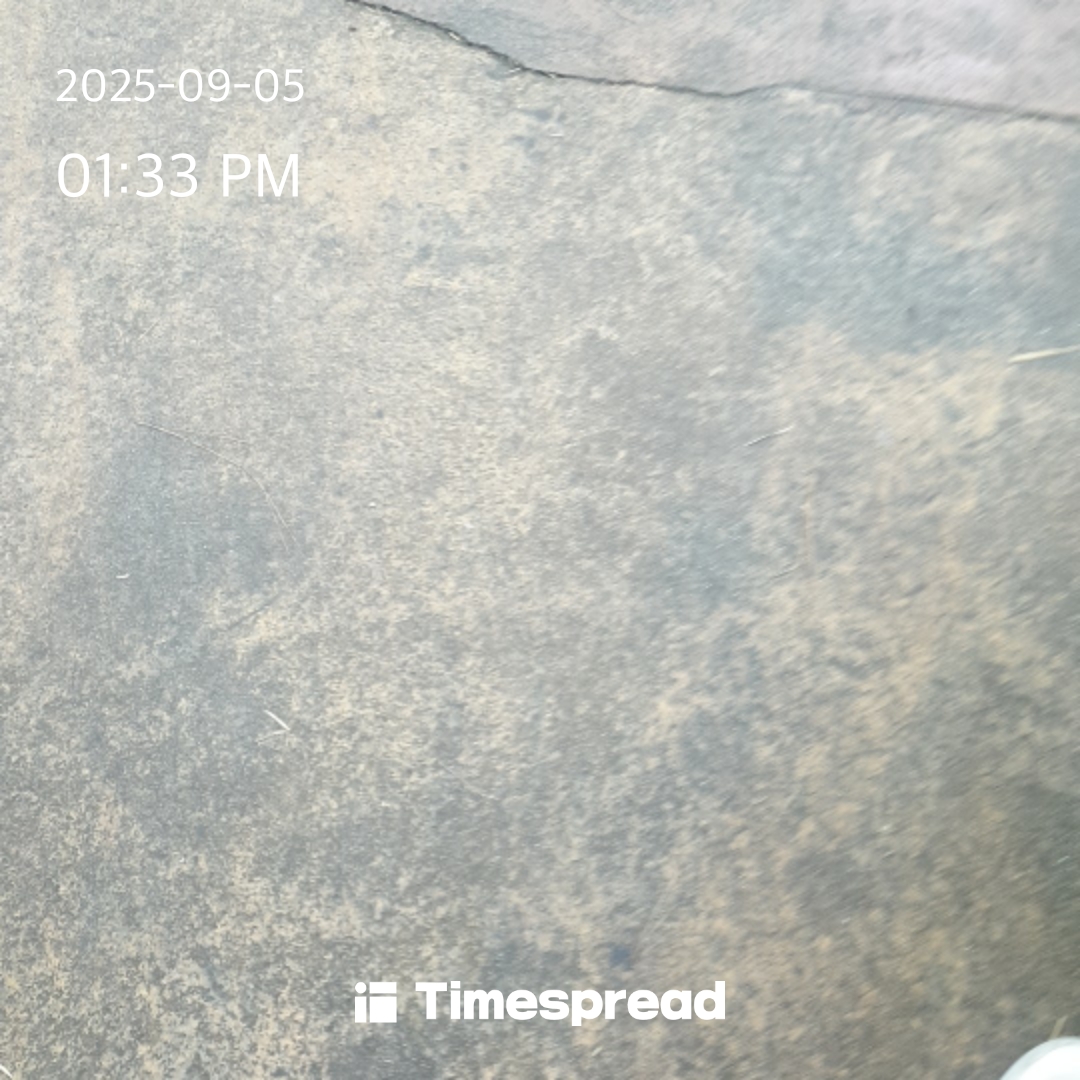 board-img