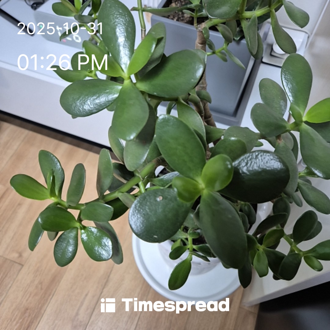 휴식시간  좋아요