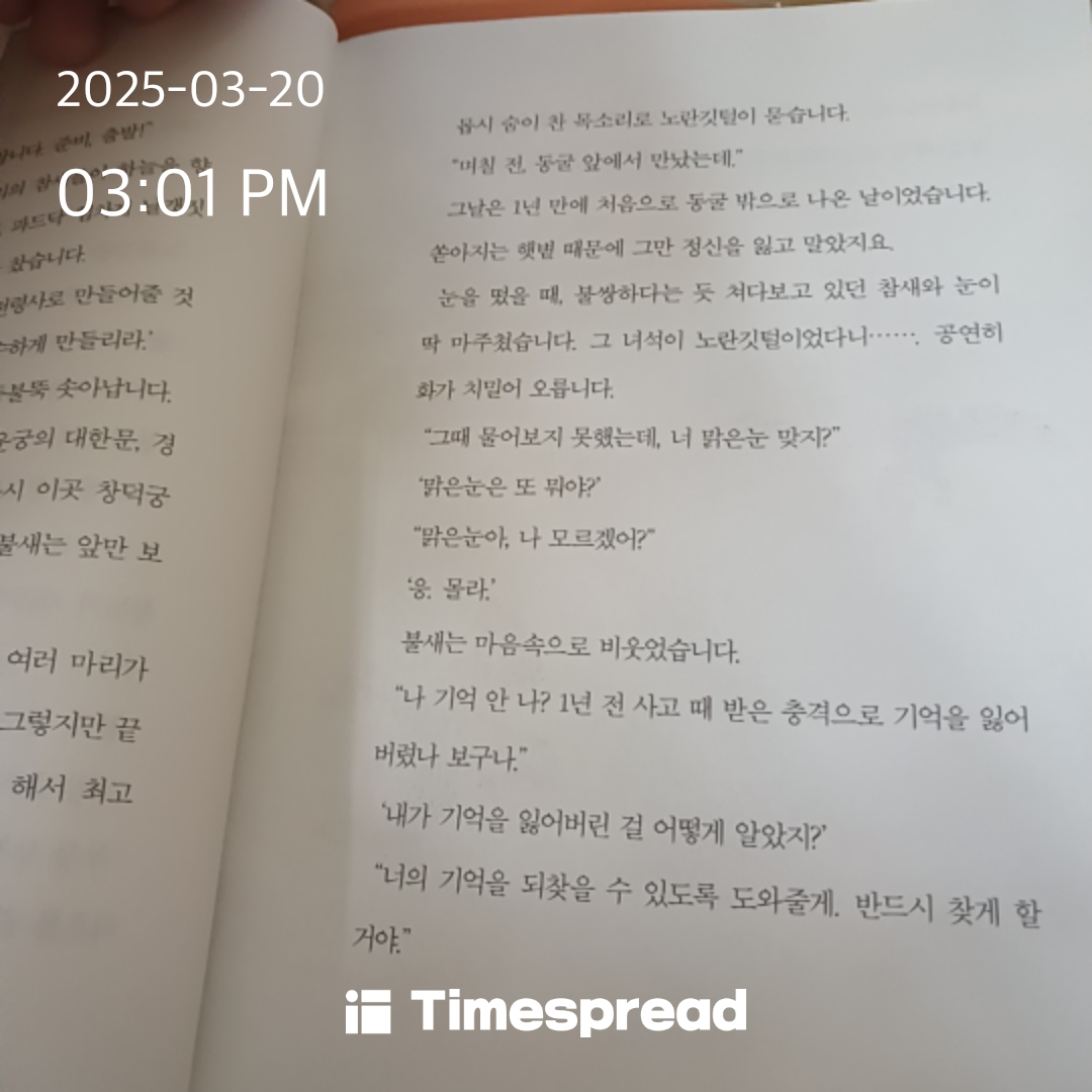 영어 공부하다 책 읽음욬ㅋㅋ