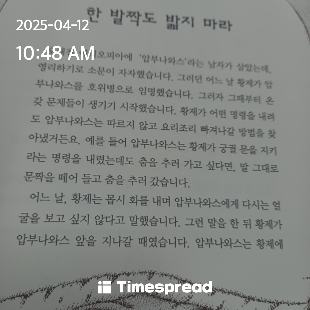 책읽기