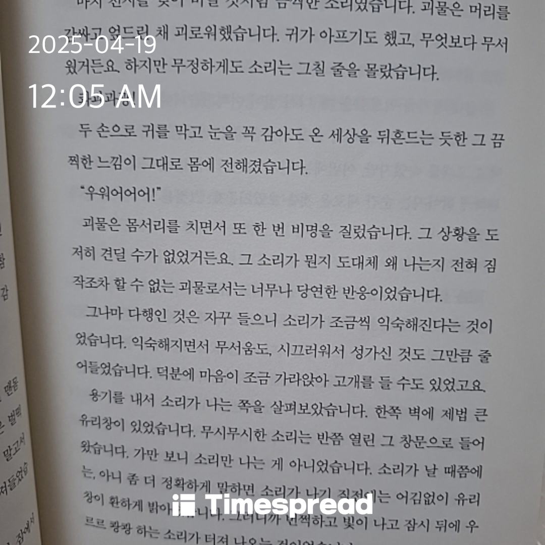 책읽기 