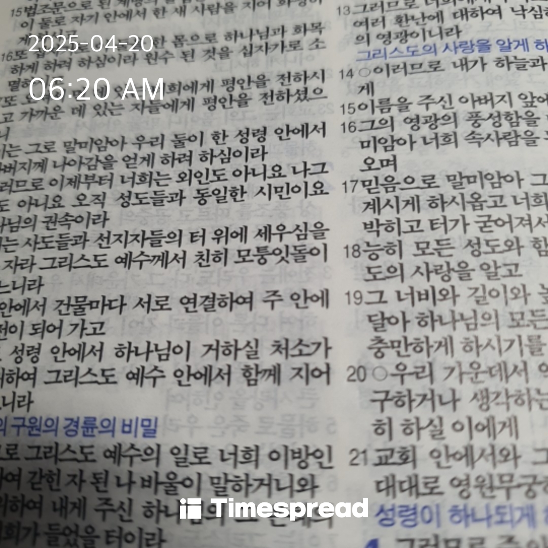 책읽기