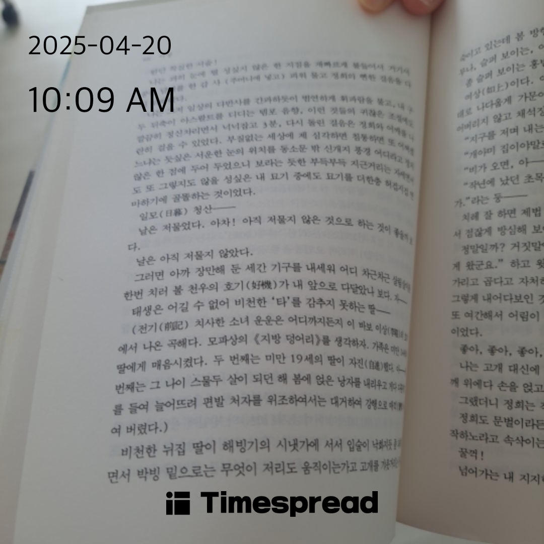 책읽기 