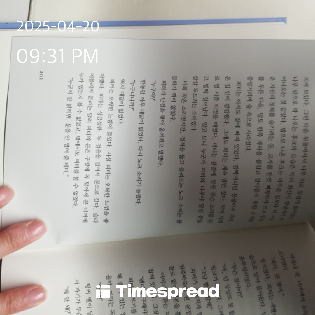 책읽기