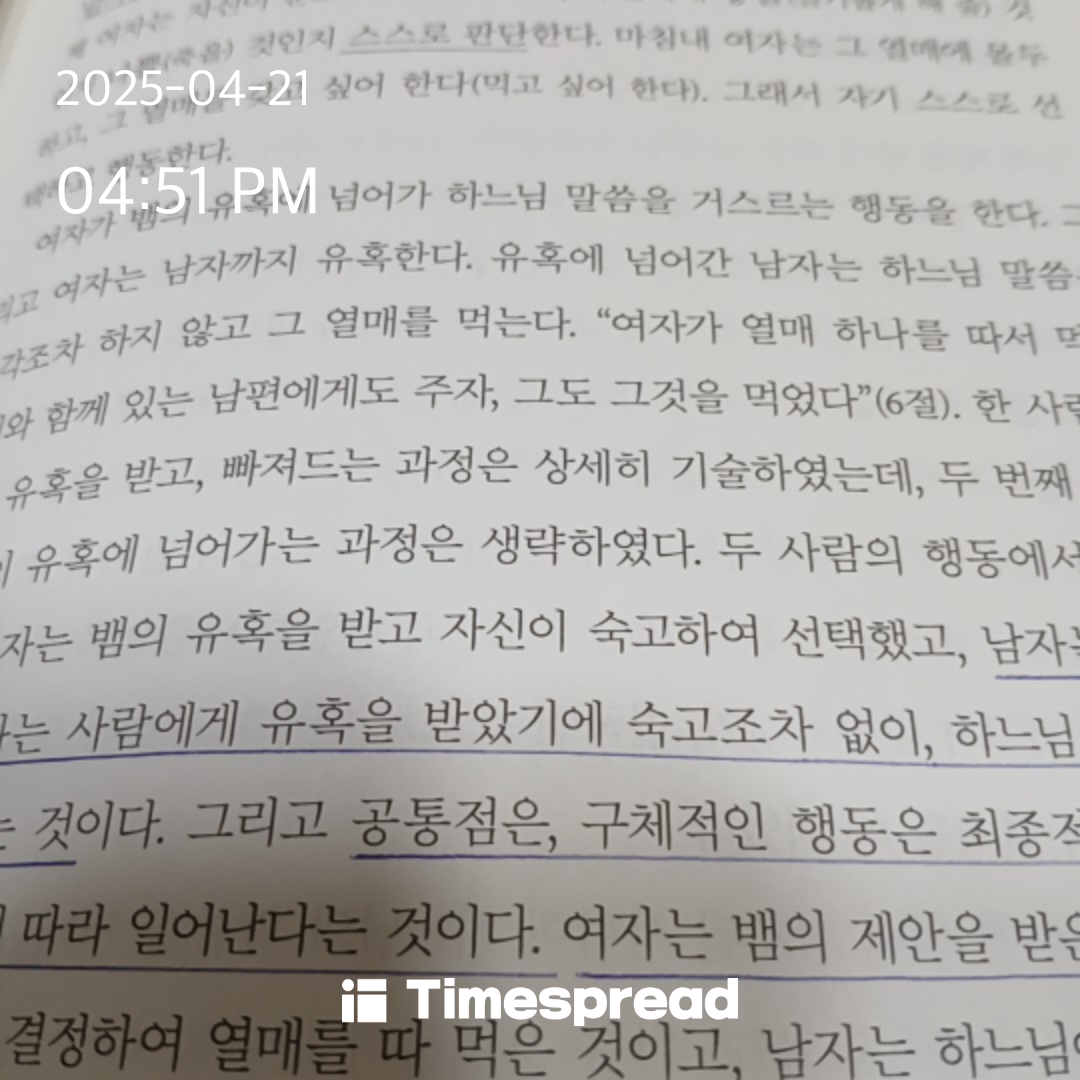 책 