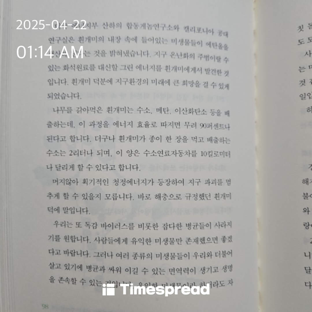책읽기 