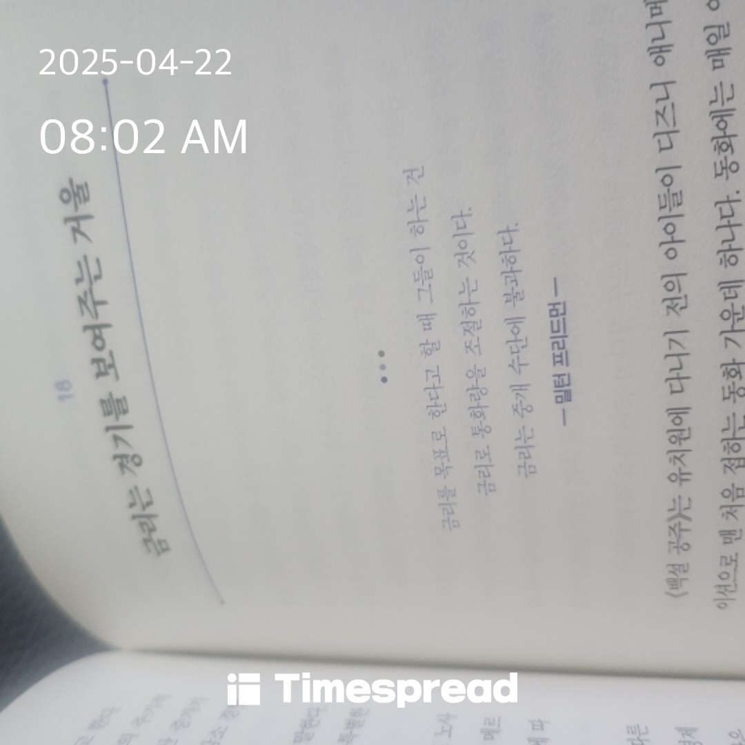 책읽기