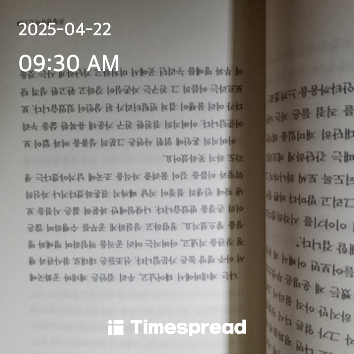 책 읽기