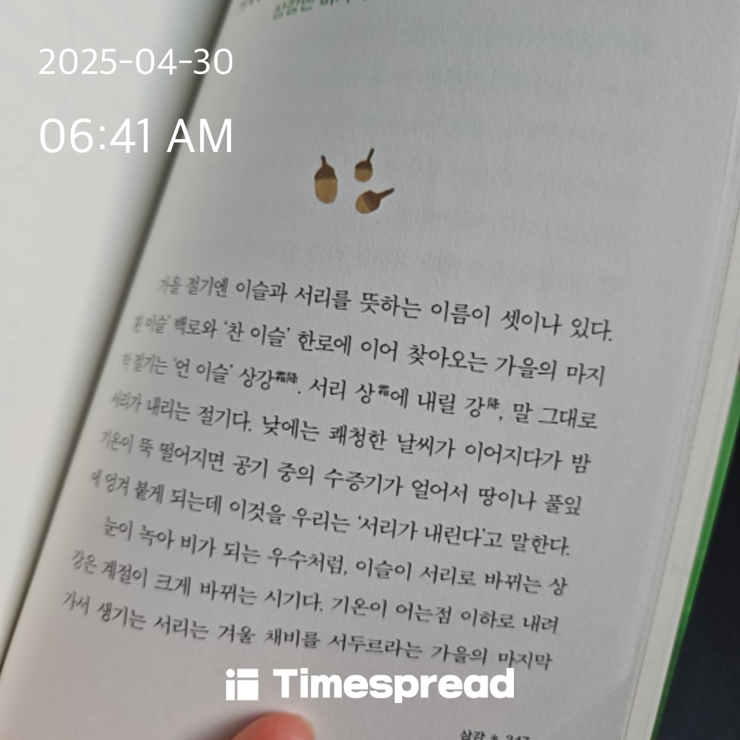 책읽기 인증