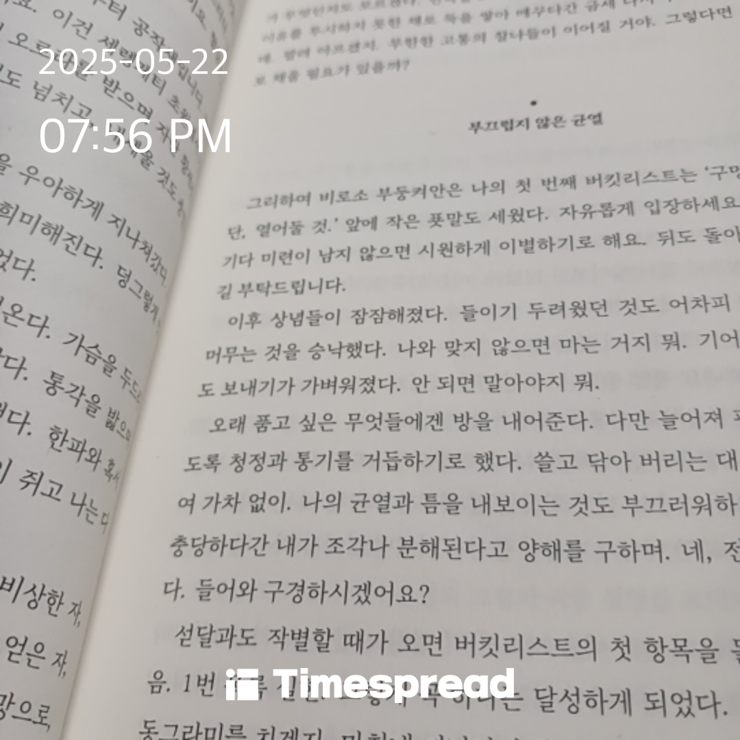 책읽기
