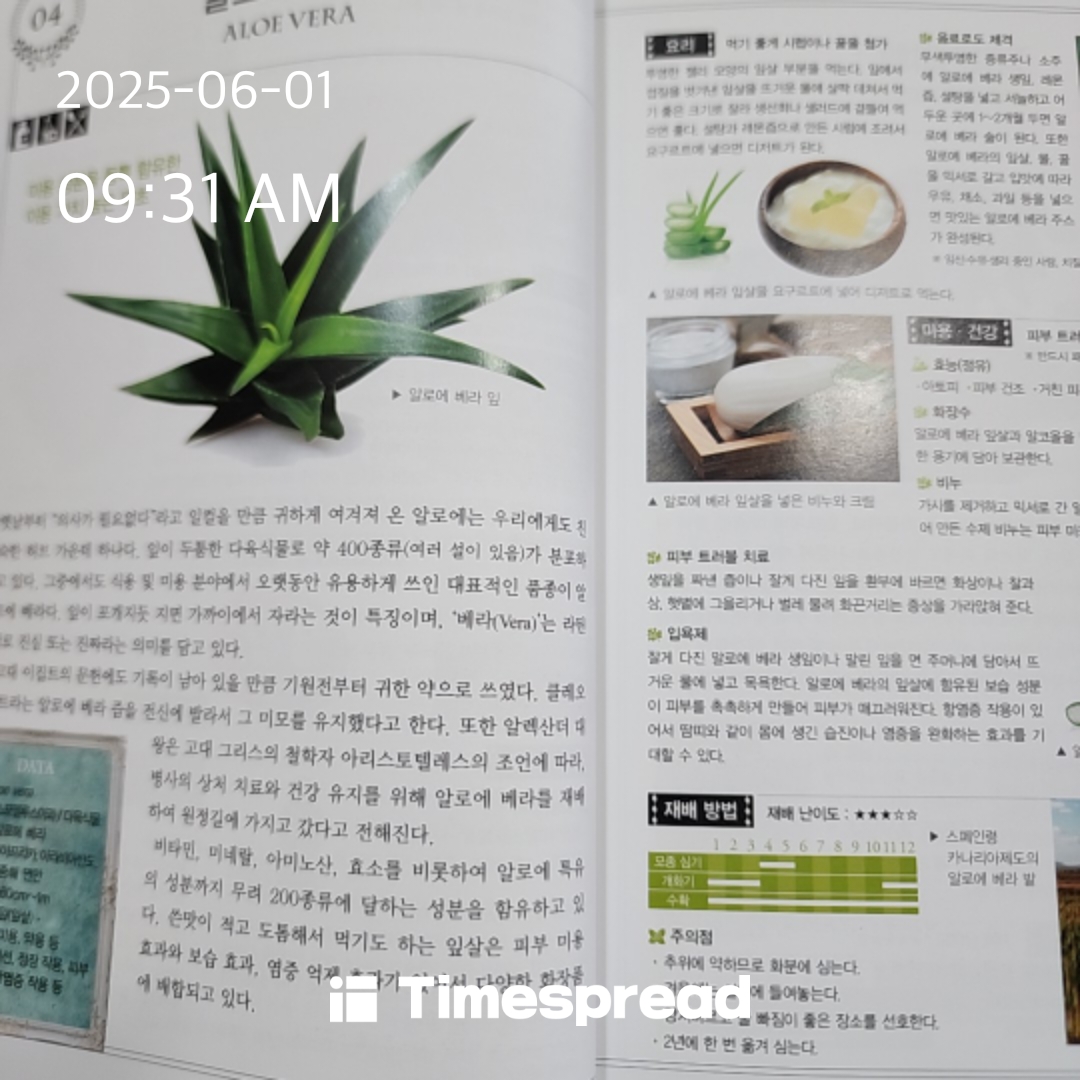독서