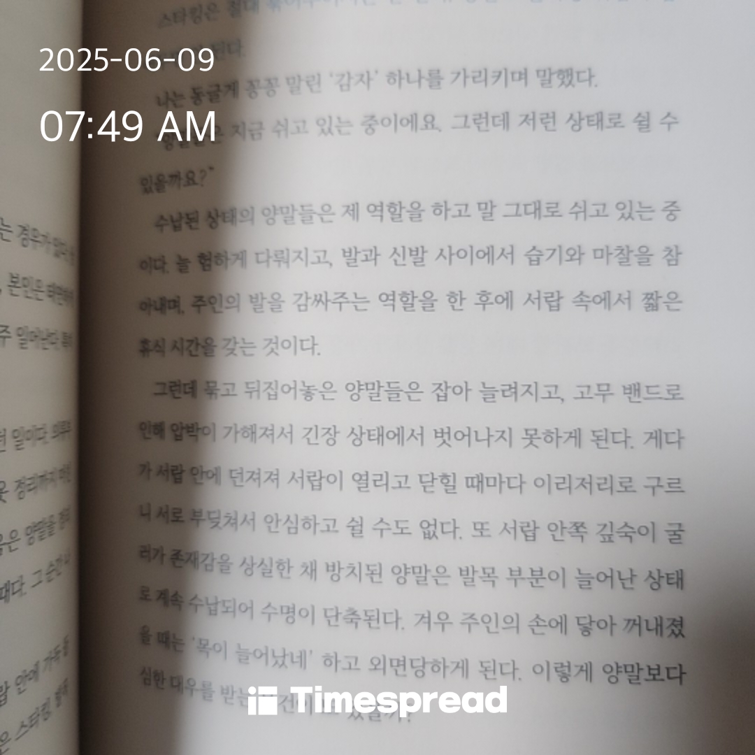책읽기