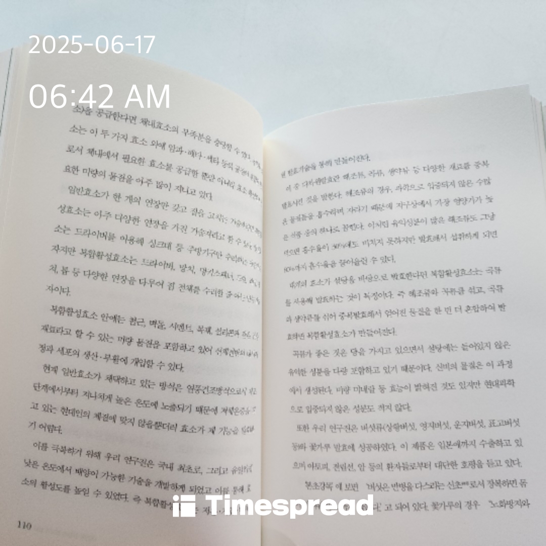 책읽기