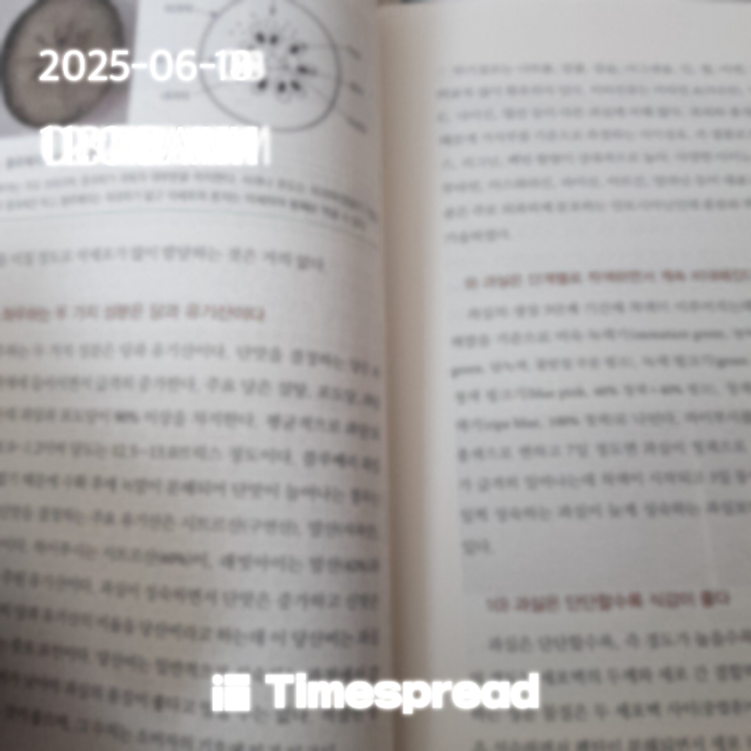책