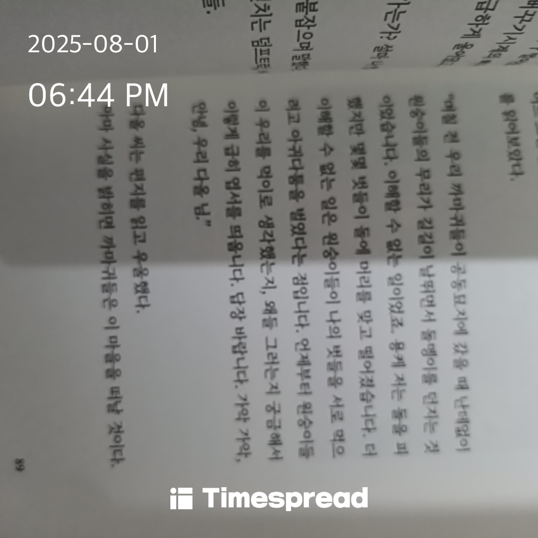 책 