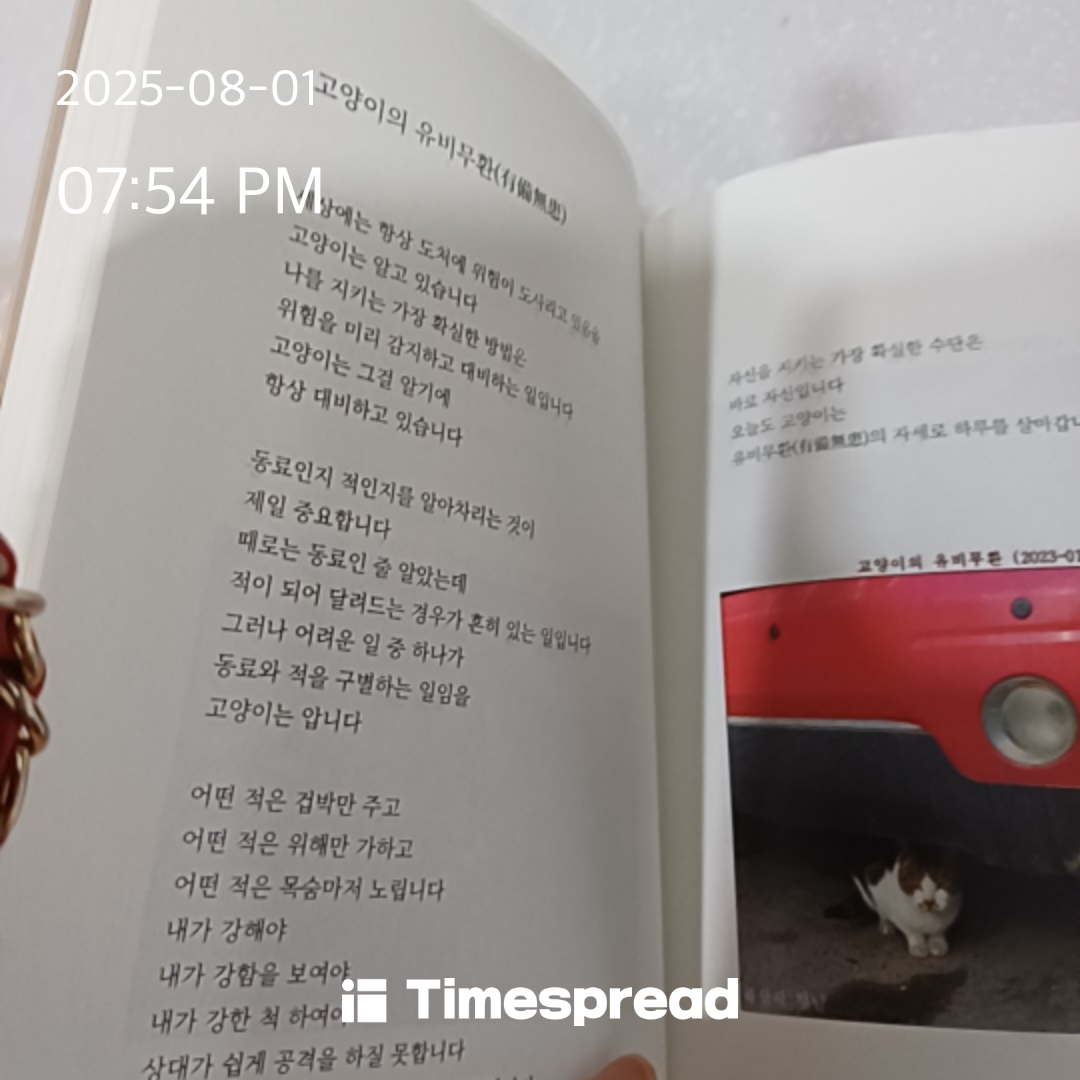 인증샷 