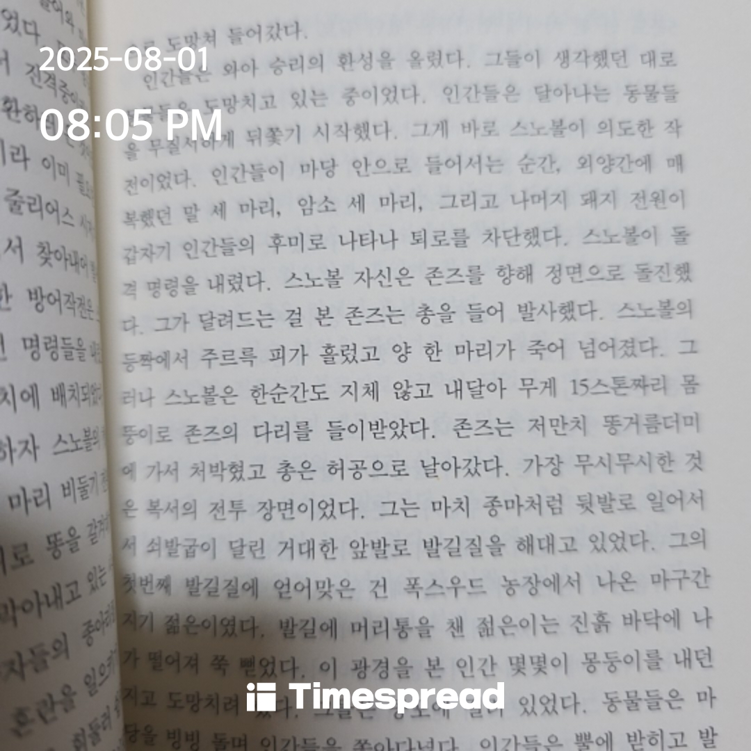 책
