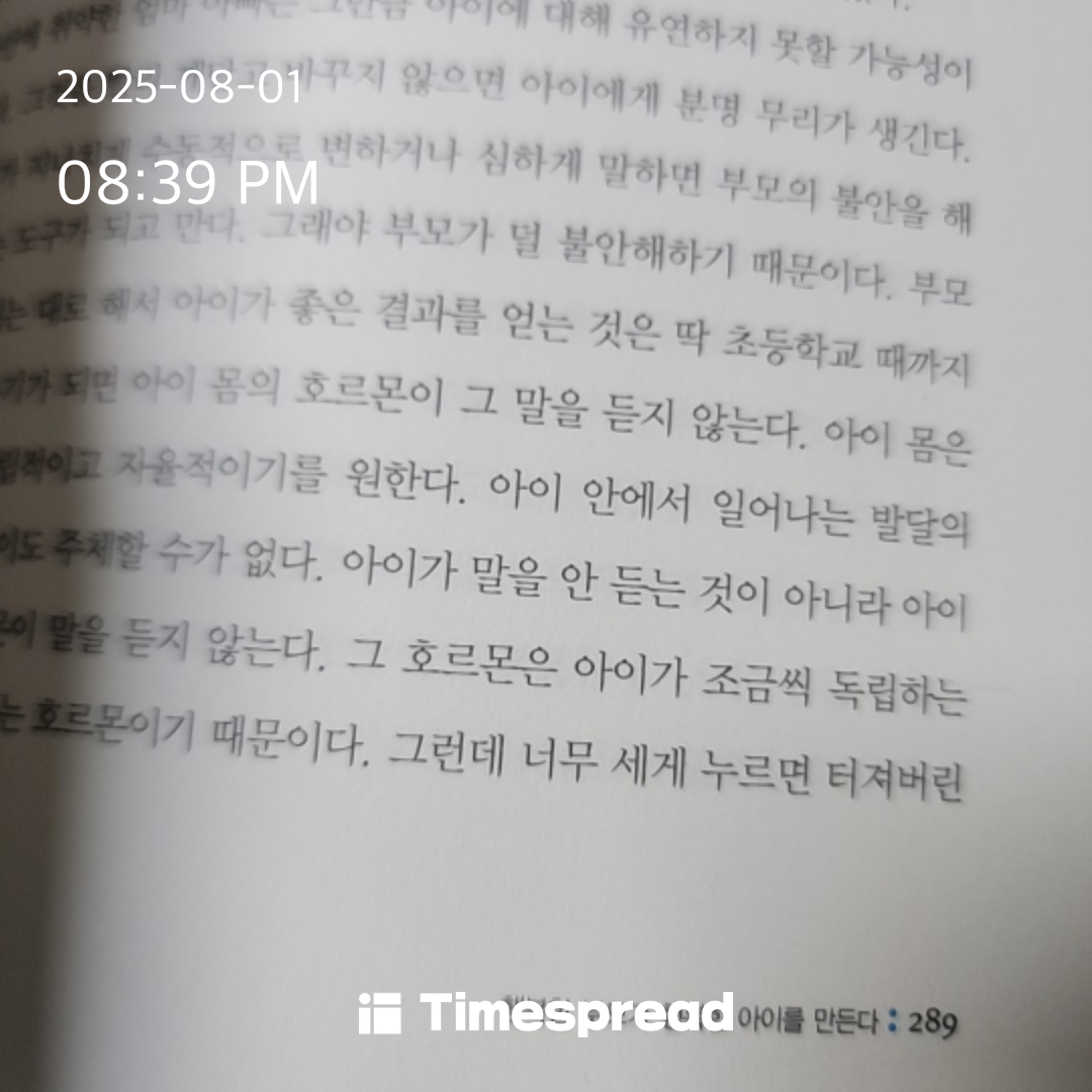 책읽기 