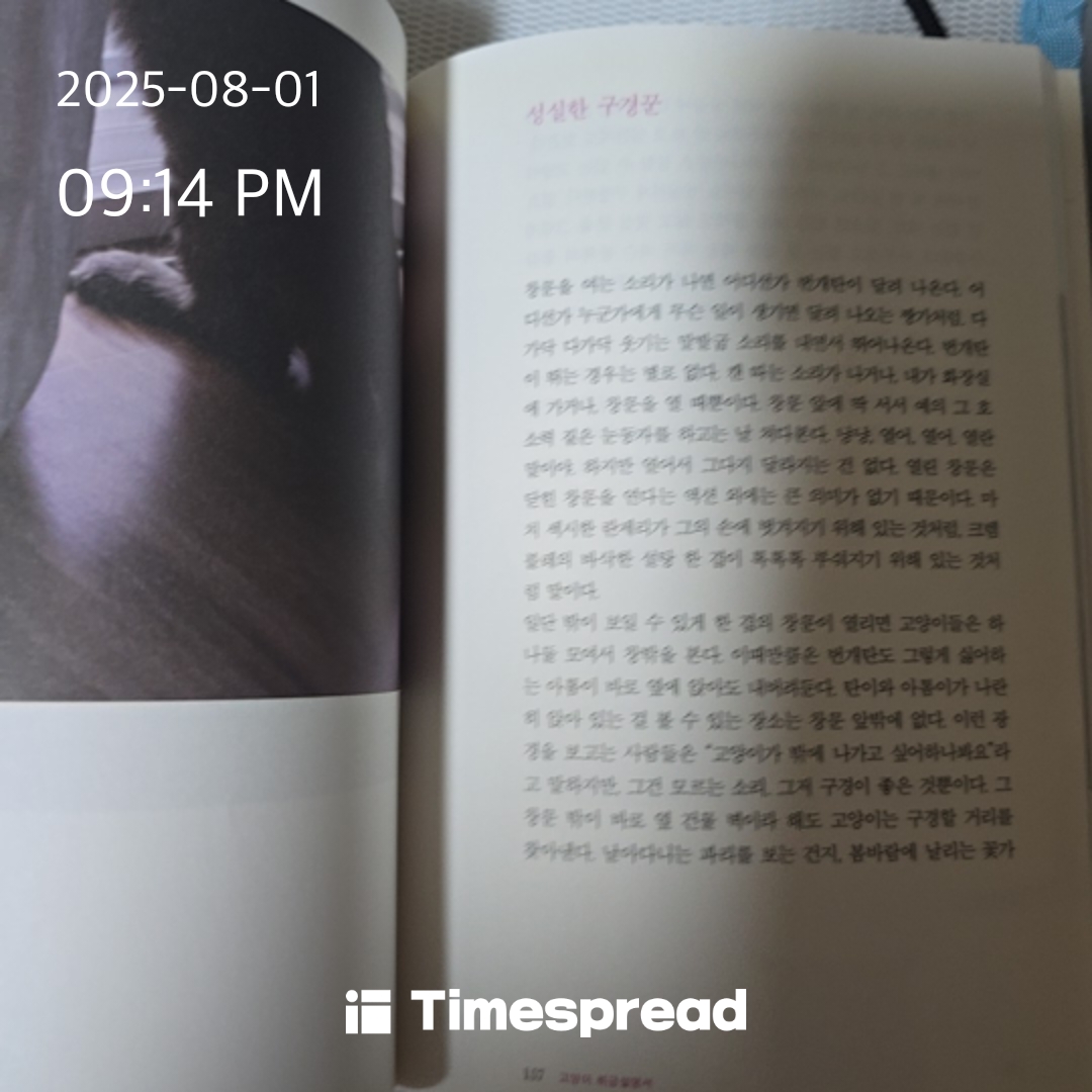 인증