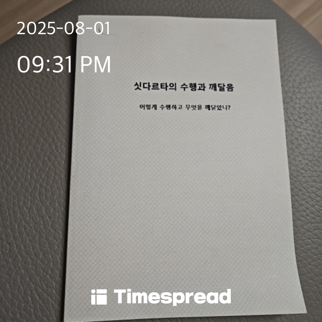 삿더르타의 수행과 깨달음
