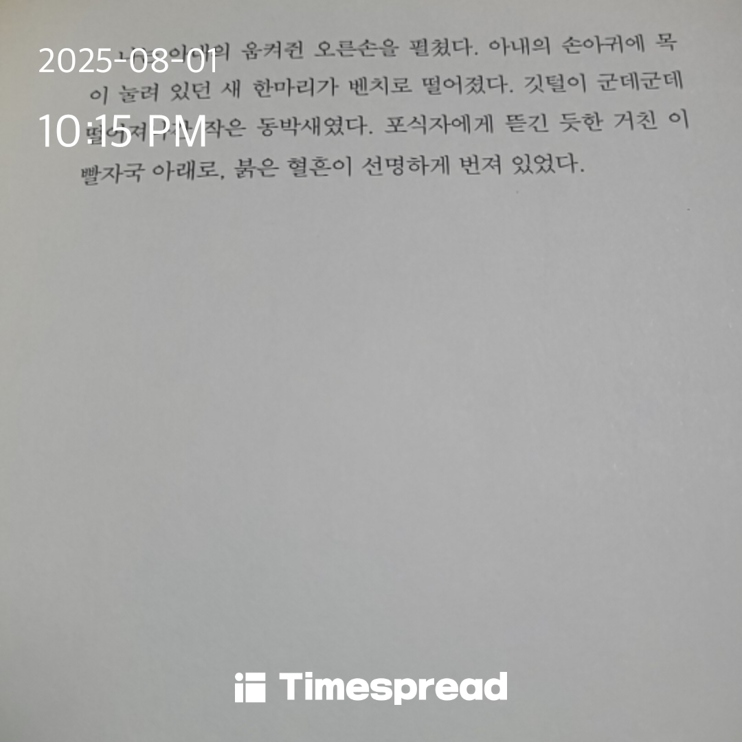 책읽기