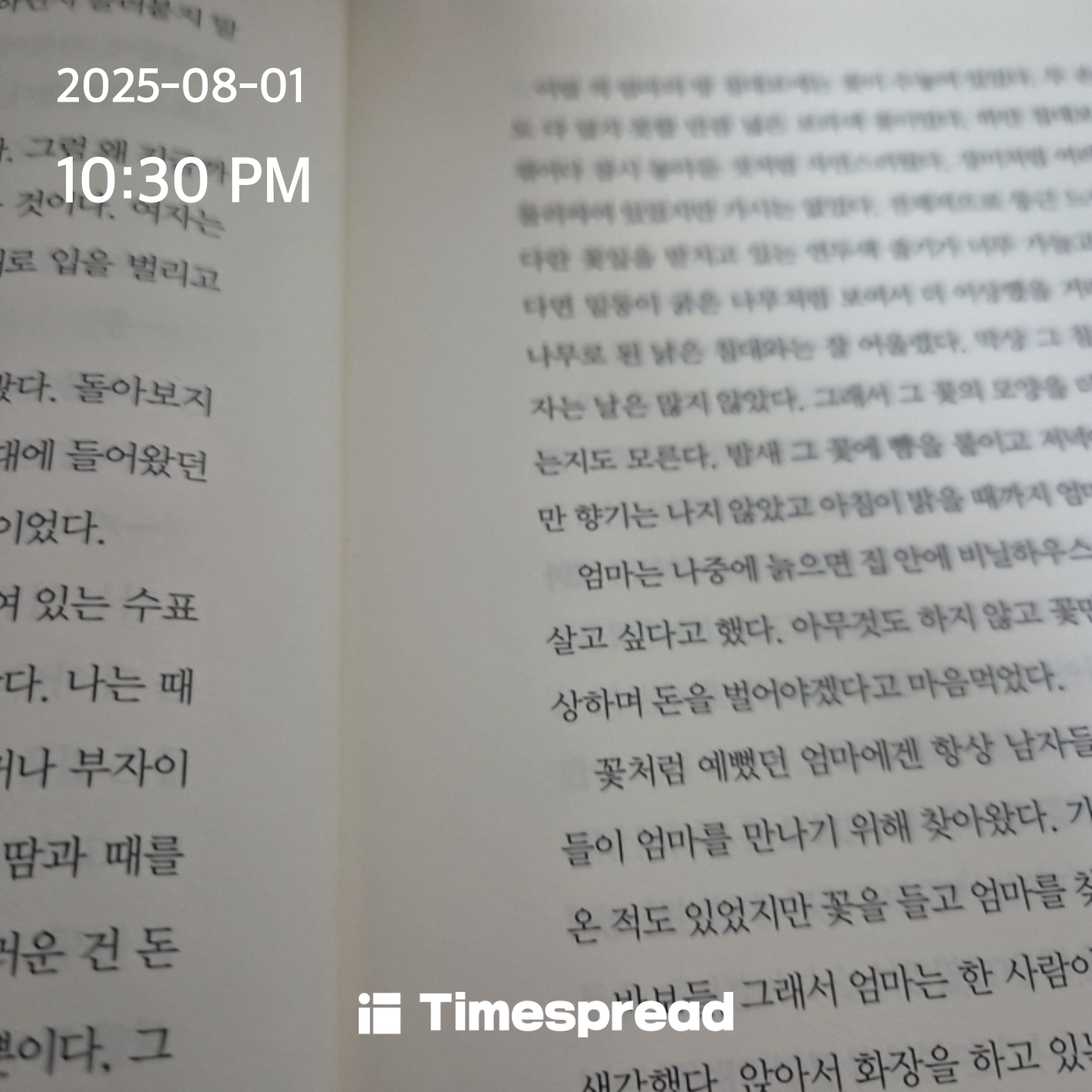 책
