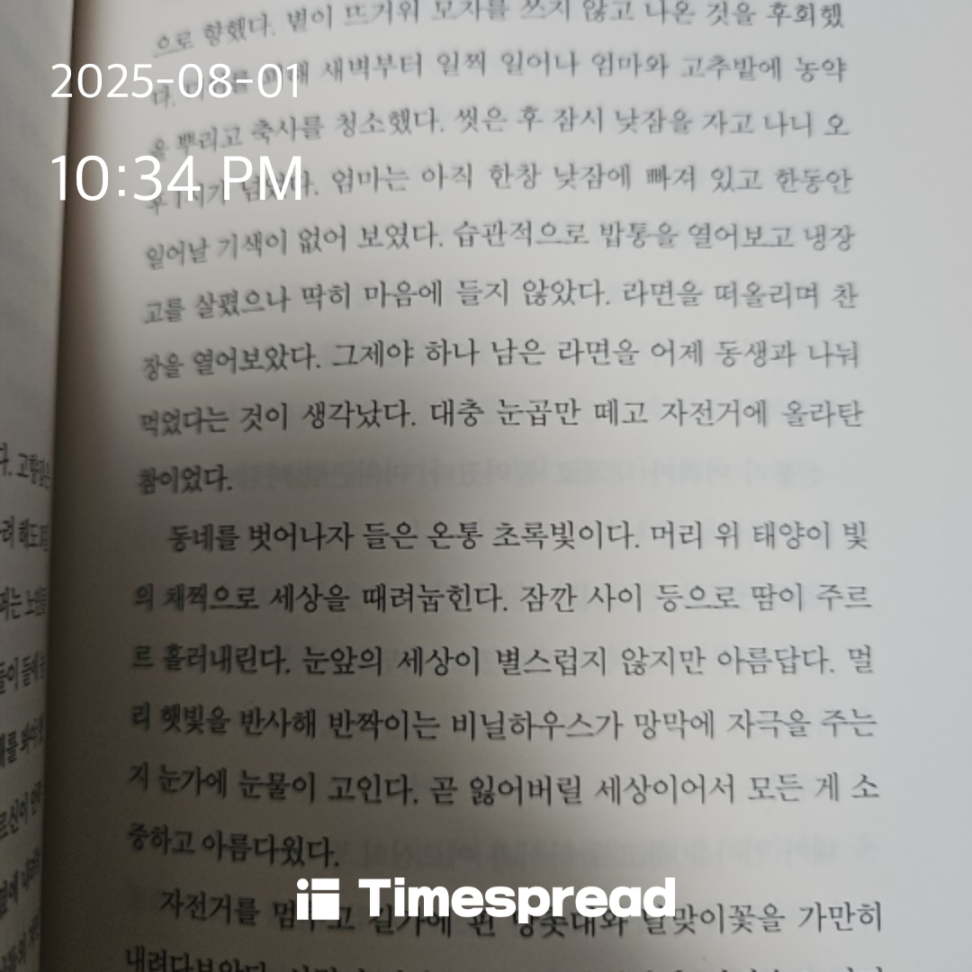 책