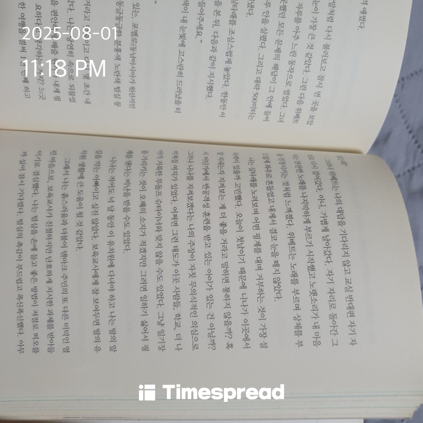 책읽기