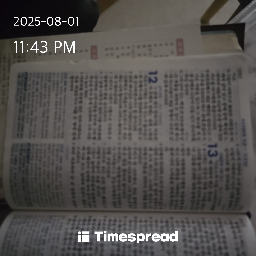 책읽기