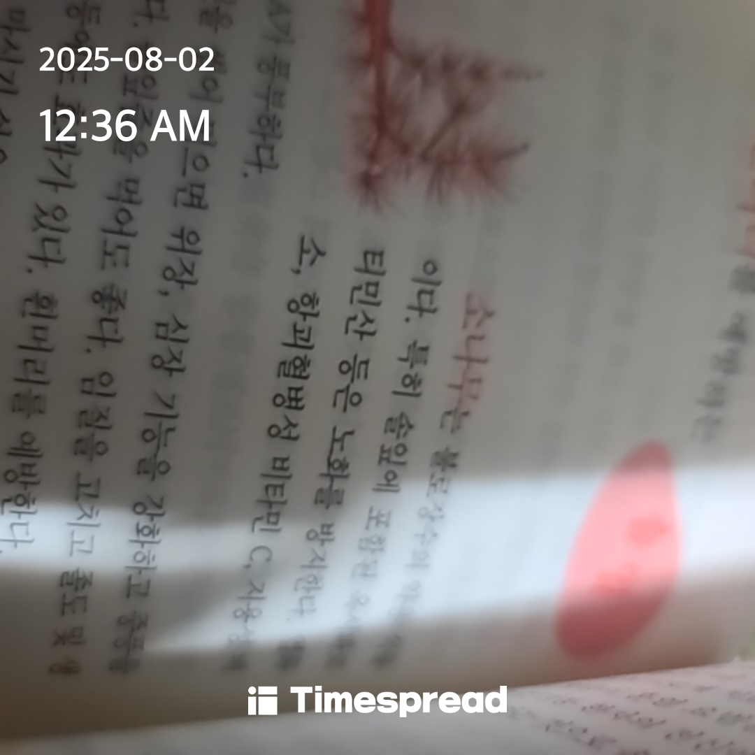 책읽기