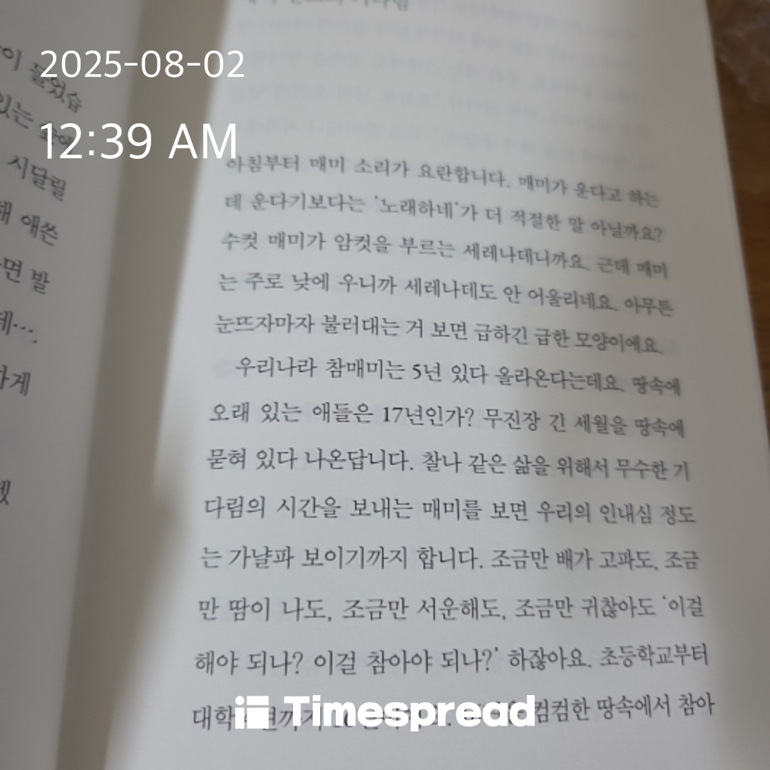 책 읽기