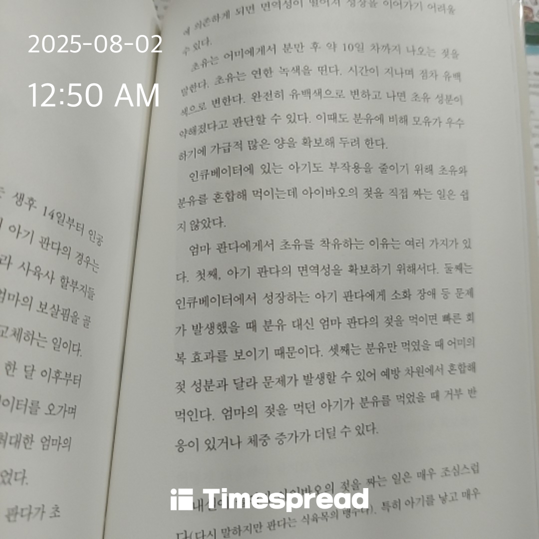 책 읽기
