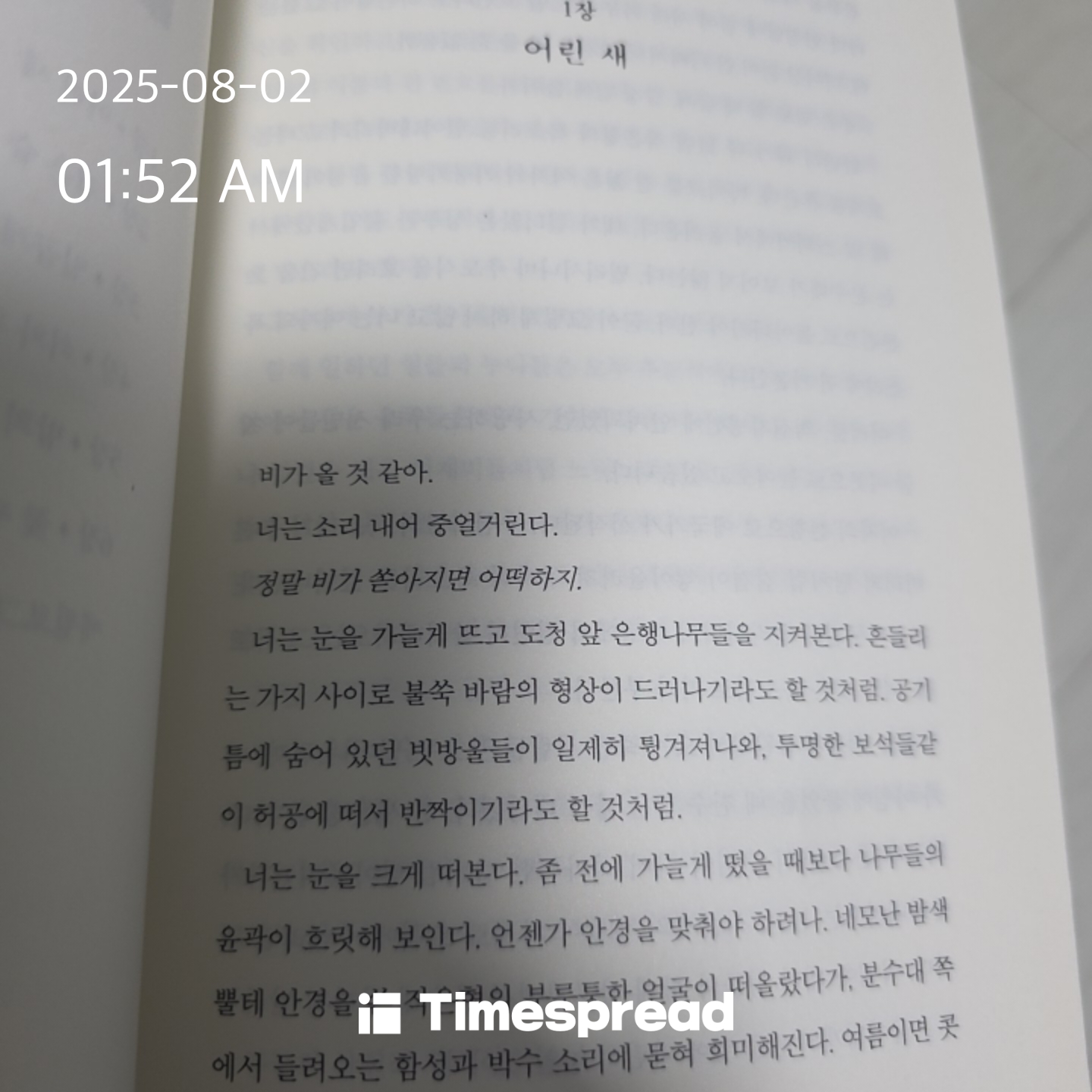 책