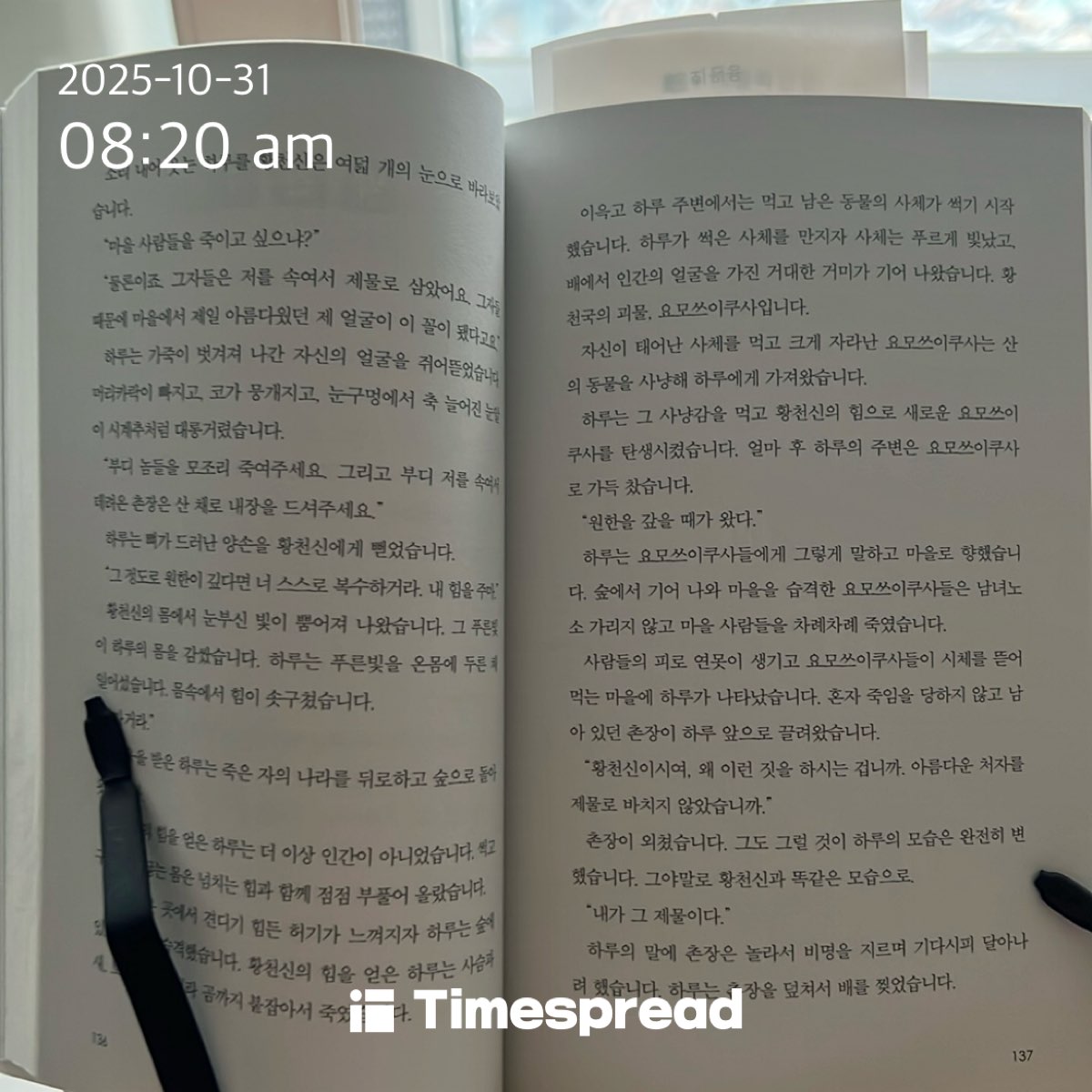 이메르의 거미 137