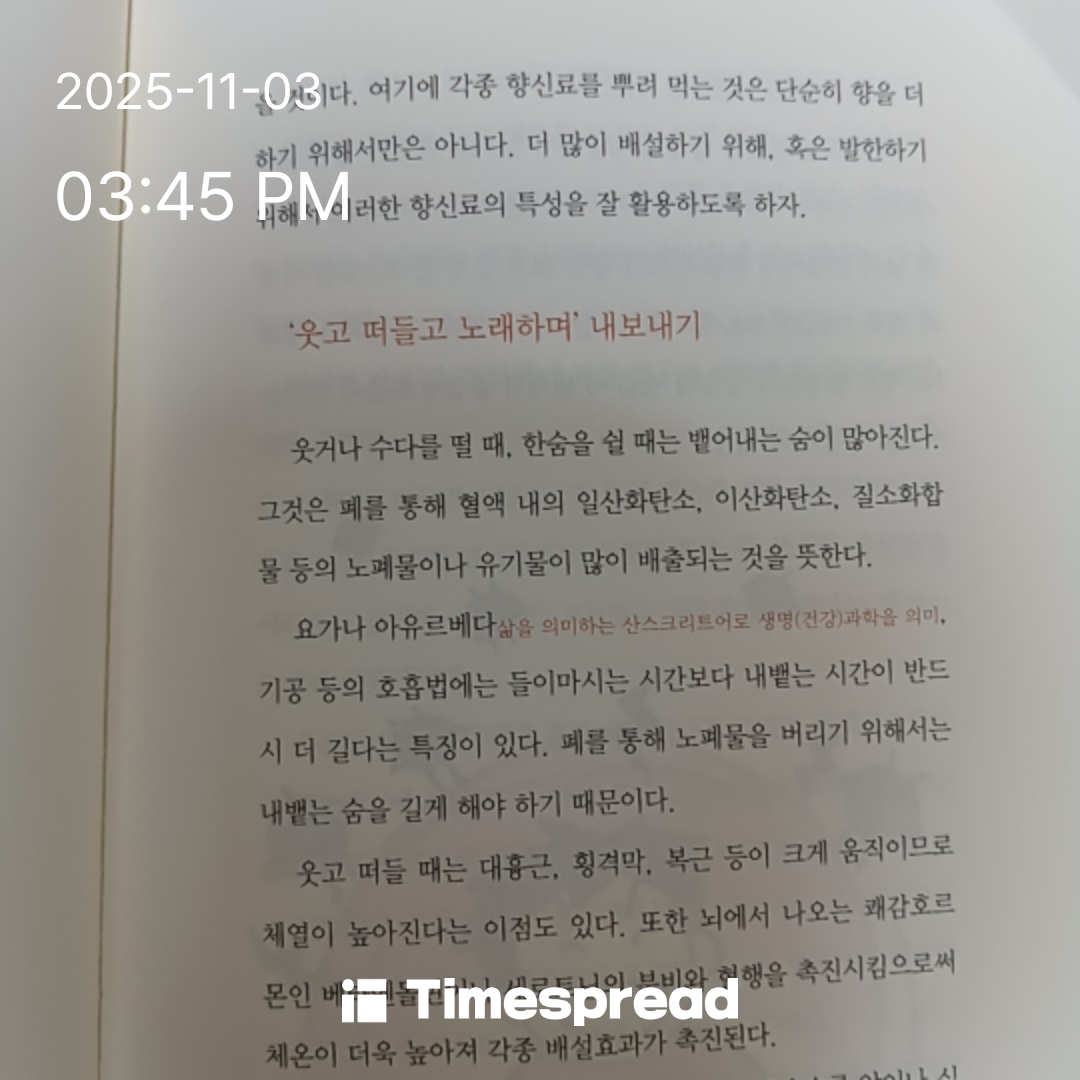 책 읽기