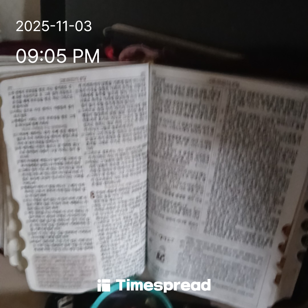 성경책 읽는 것이 좋다