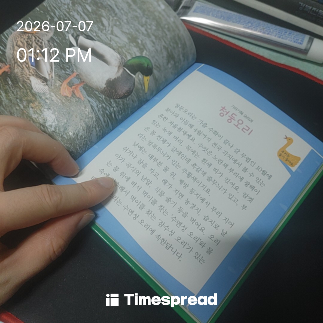 board-img