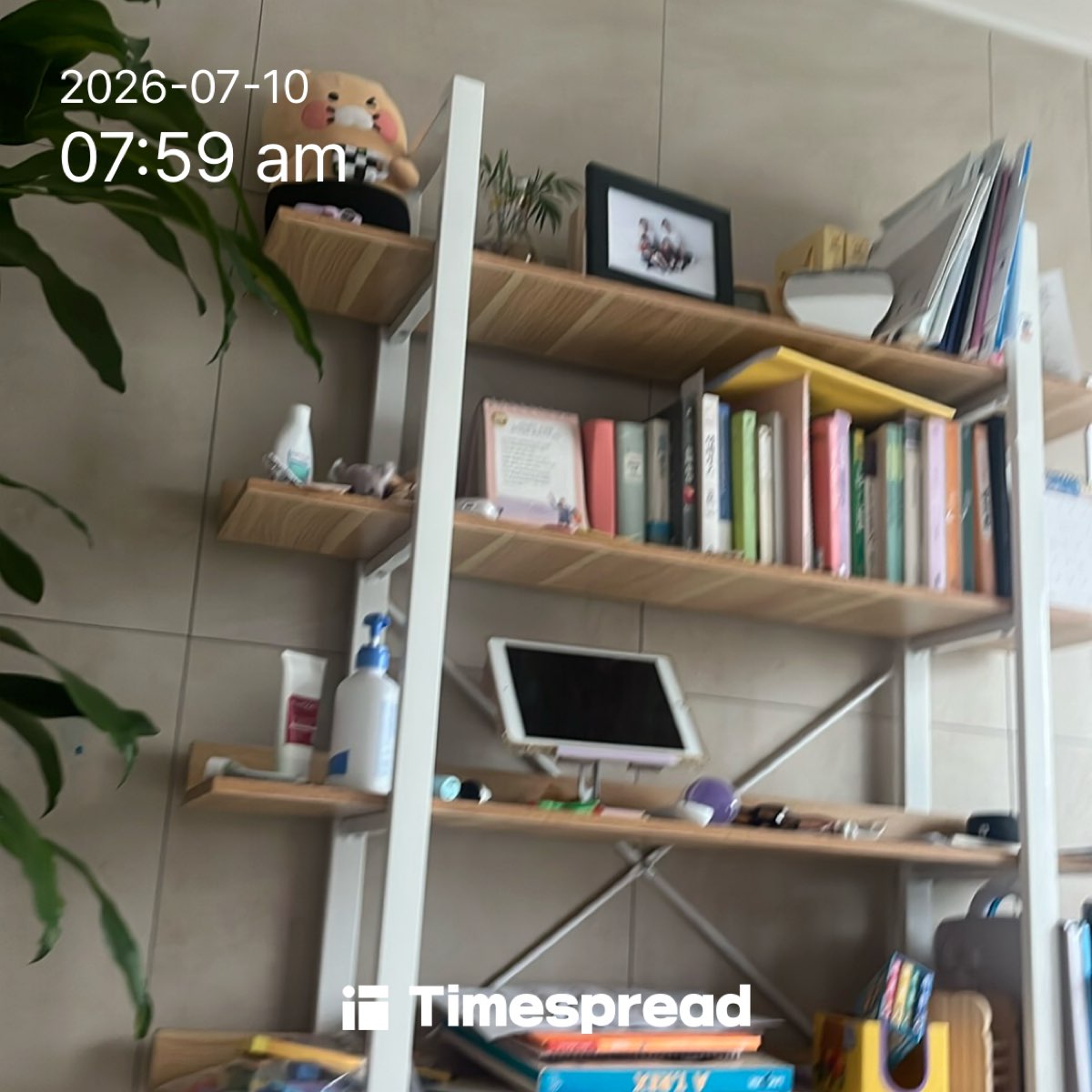 board-img
